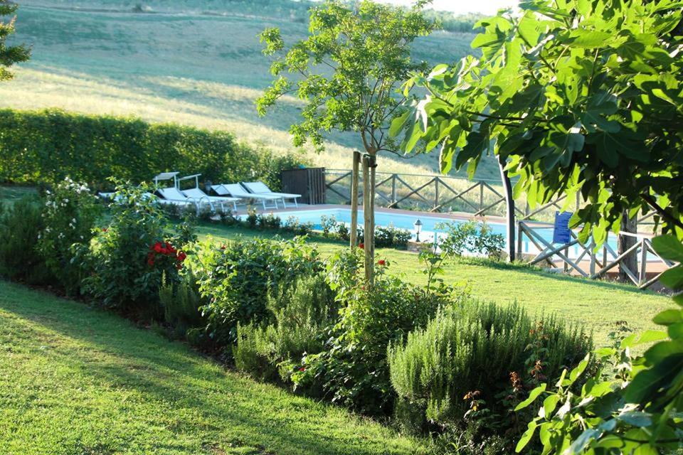 Agriturismo Casanova Asciano Eksteriør billede